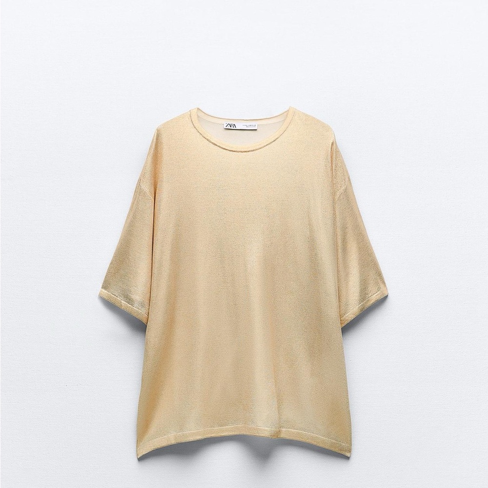 Zara Metallic Top